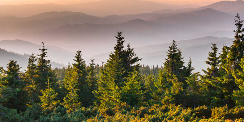 Wilderness Therapy for Troubled Teen Girls Wilderness Therapy for Troubled Teen Girls